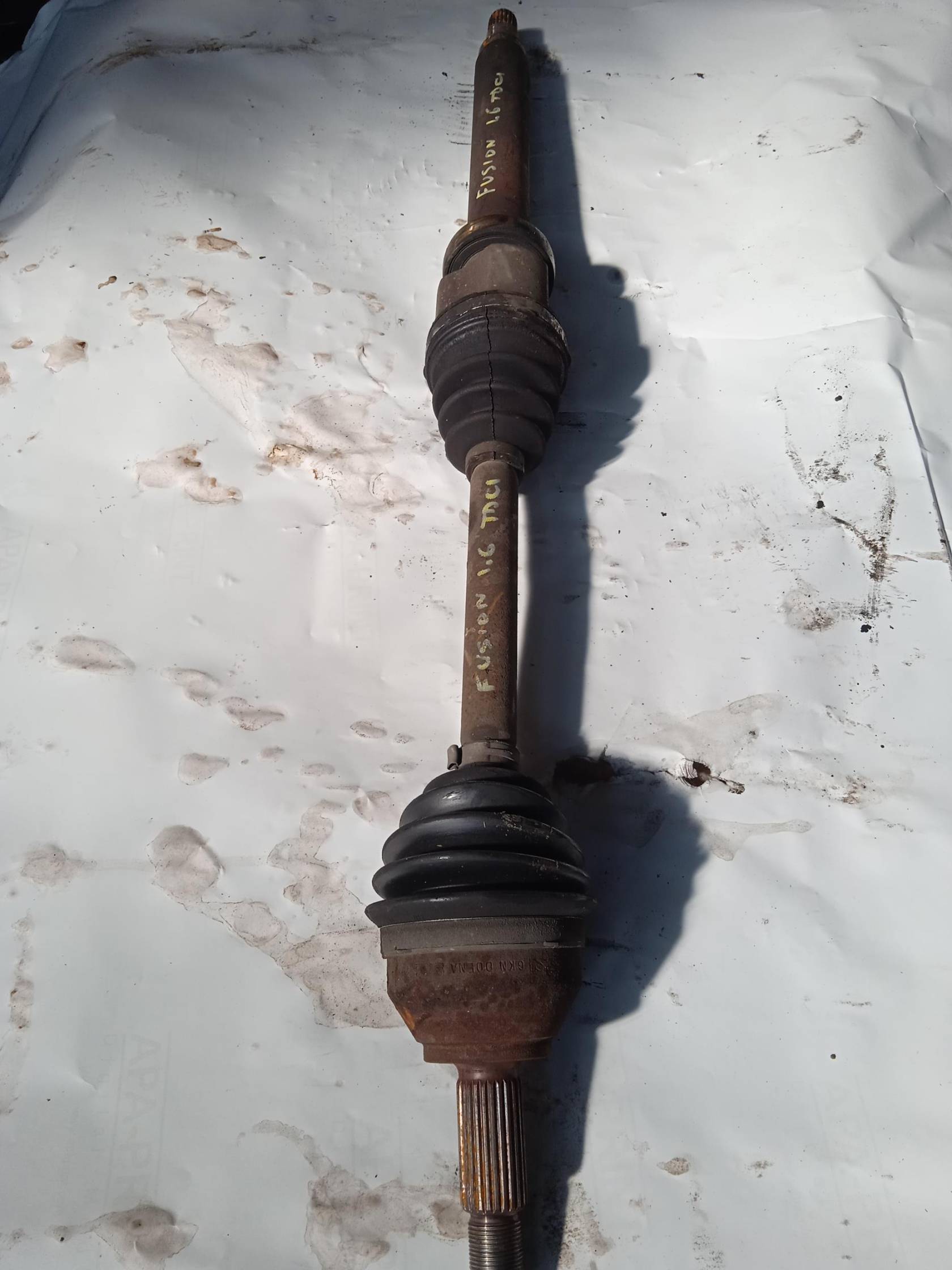 Semialbero ant. compl. dx.